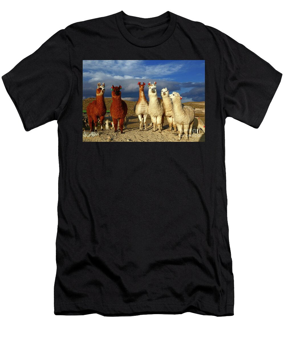 Cuddly Camelids on Parade James Brunker T-Shirt