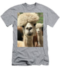 Curious Alpaca Close Up Jeramy T-Shirt