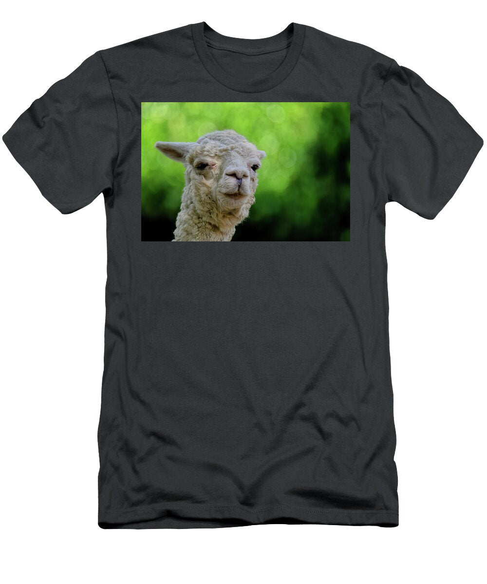Curious Alpaca in Greenery Kenneth Byron T-Shirt