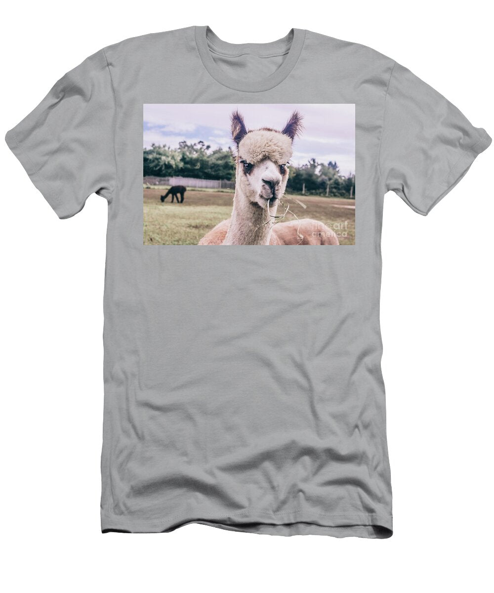 Cute Alpaca Colleen Kammerer T-Shirt