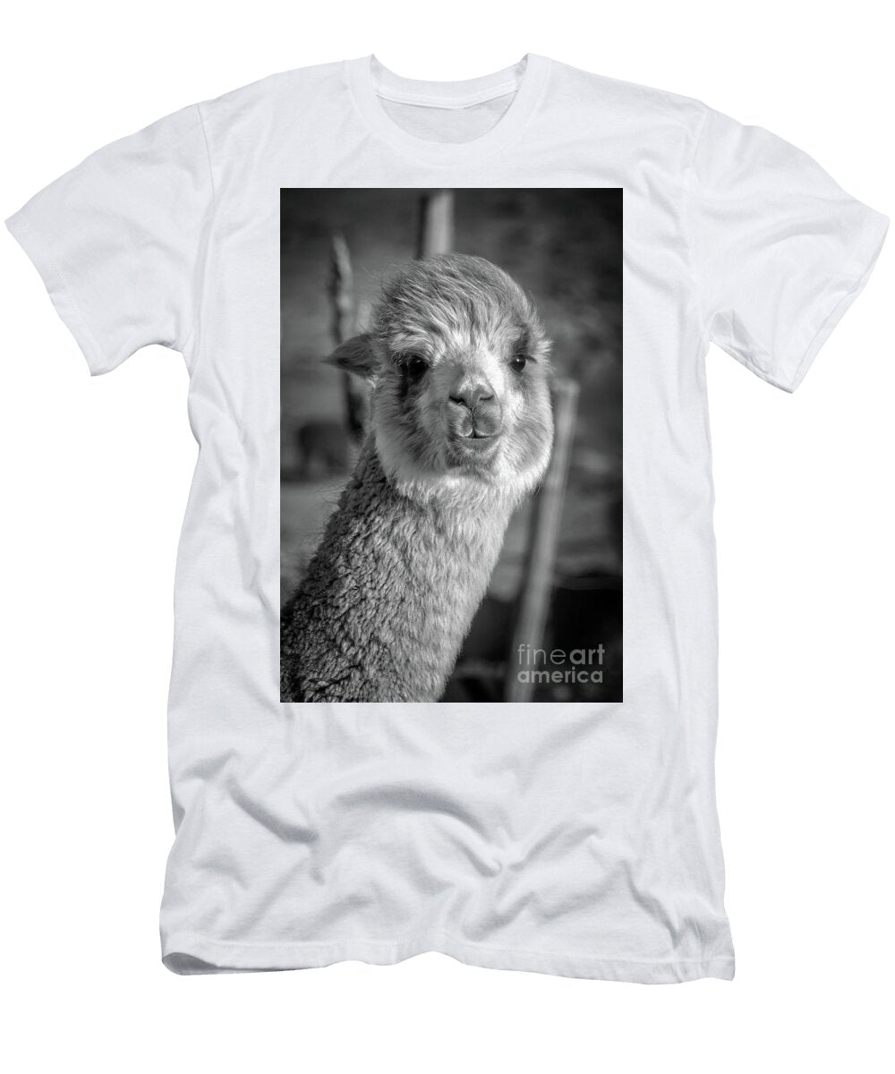 Cute Alpaca Delphimages Photo Creations T-Shirt