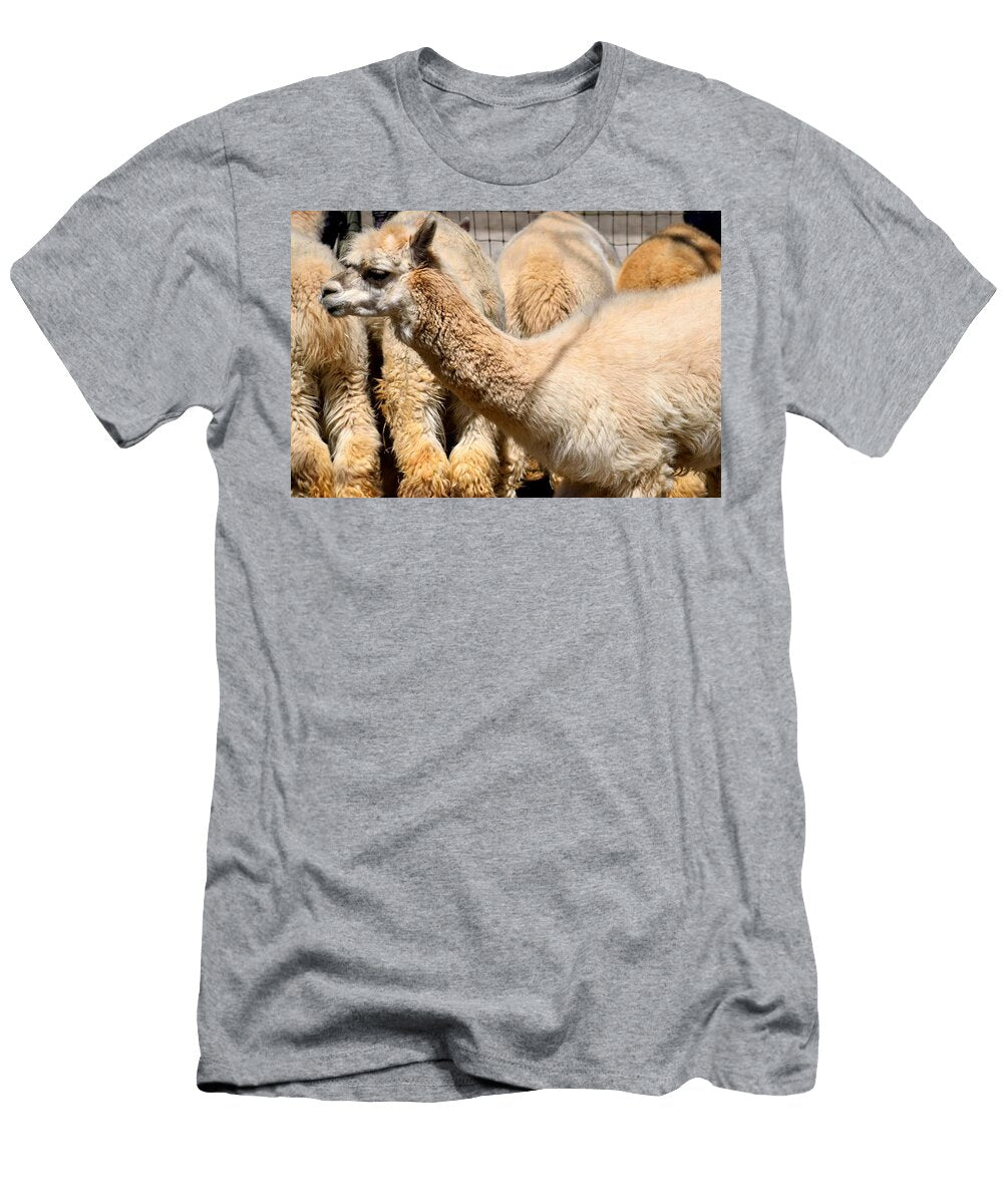 Cute Alpaca L1 Les Classics T-Shirt