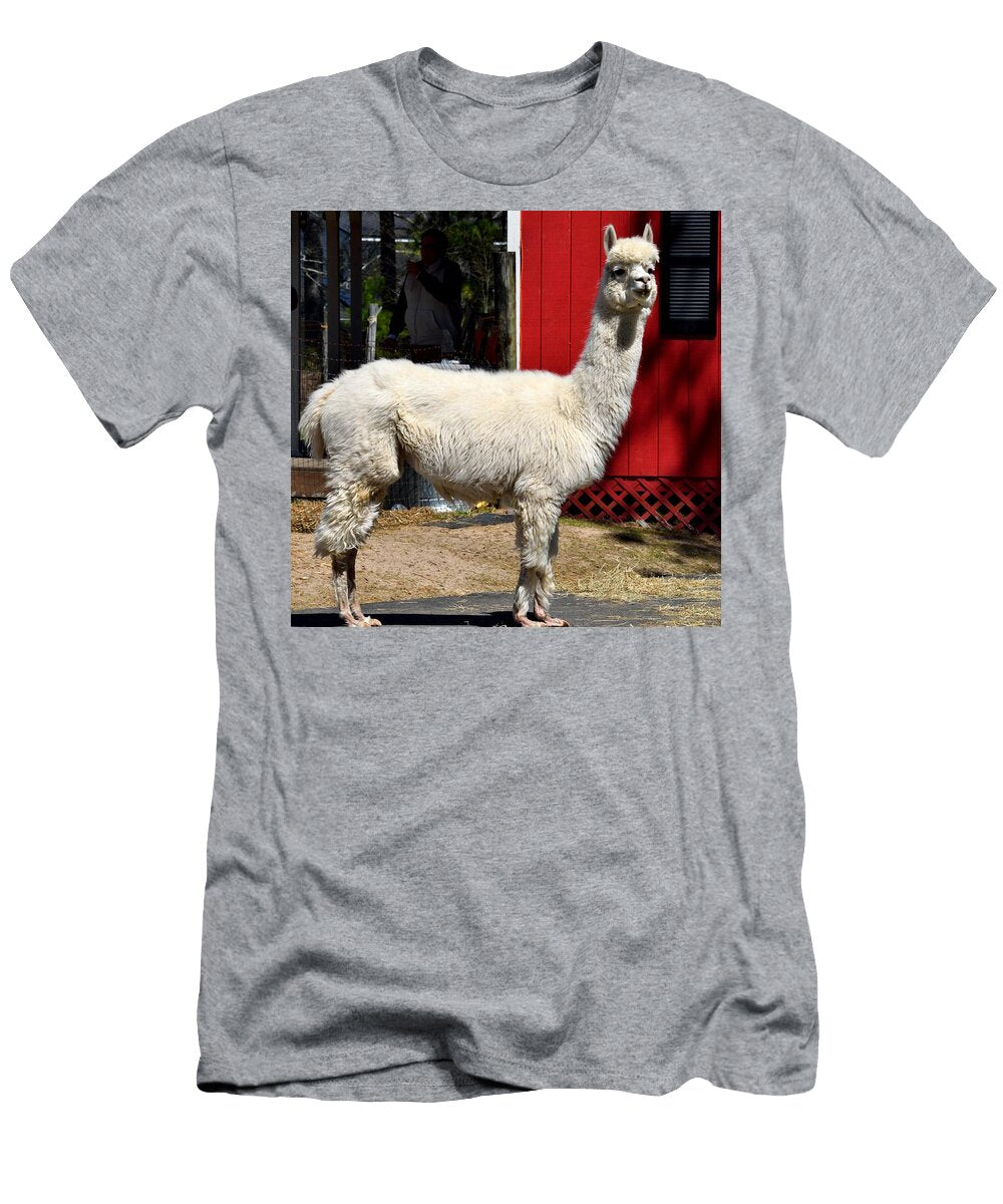 Cute Alpaca Les Classics T-Shirt