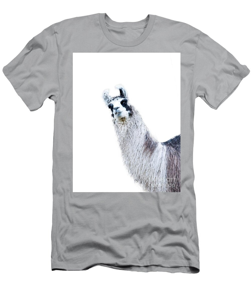 Cute Llama 1 Wall Art Anitas and Bellas Art T-Shirt