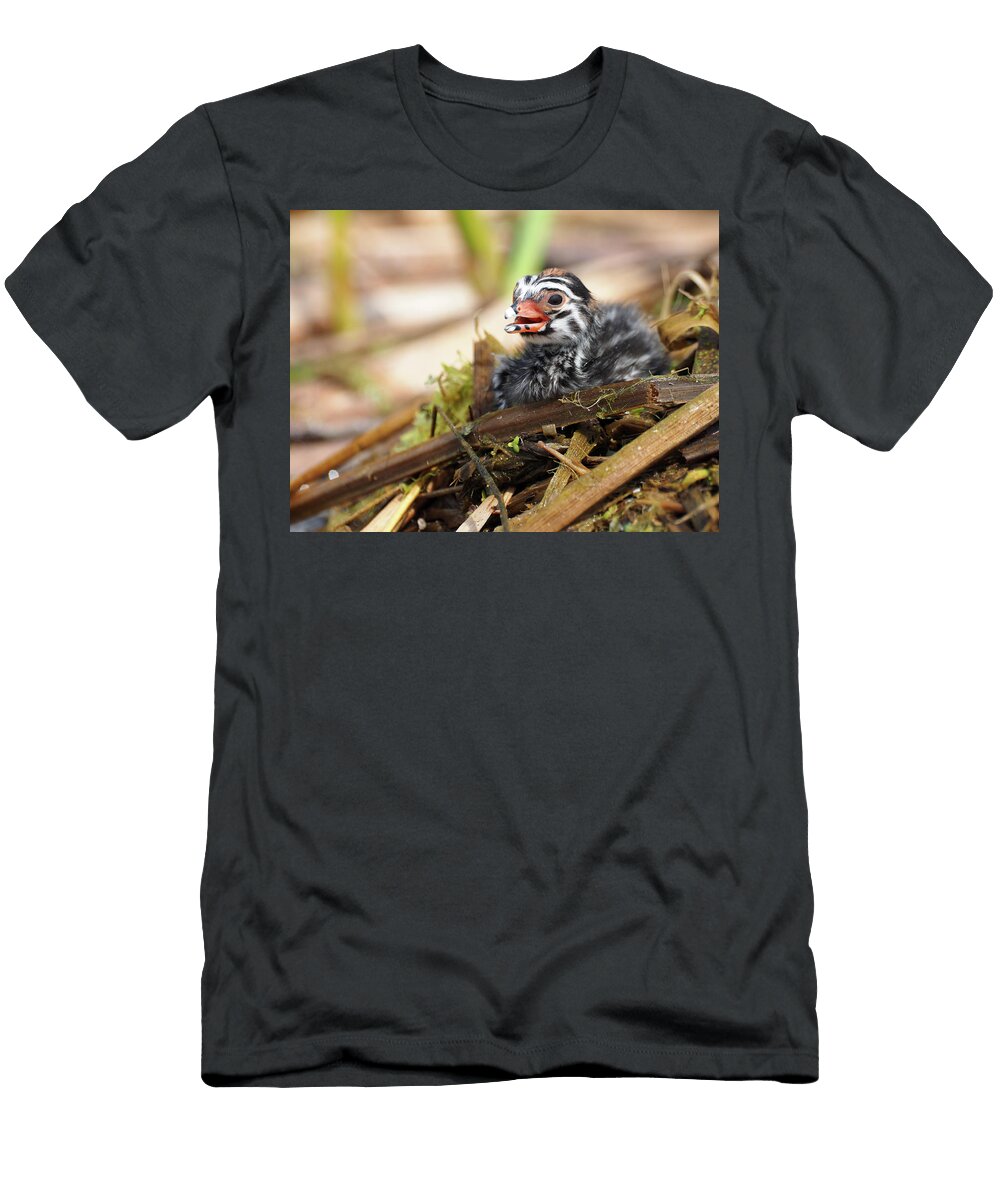 Dapper Dive Dapper James Peterson T-Shirt