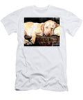 Day Dreamer Molly Poole T-Shirt