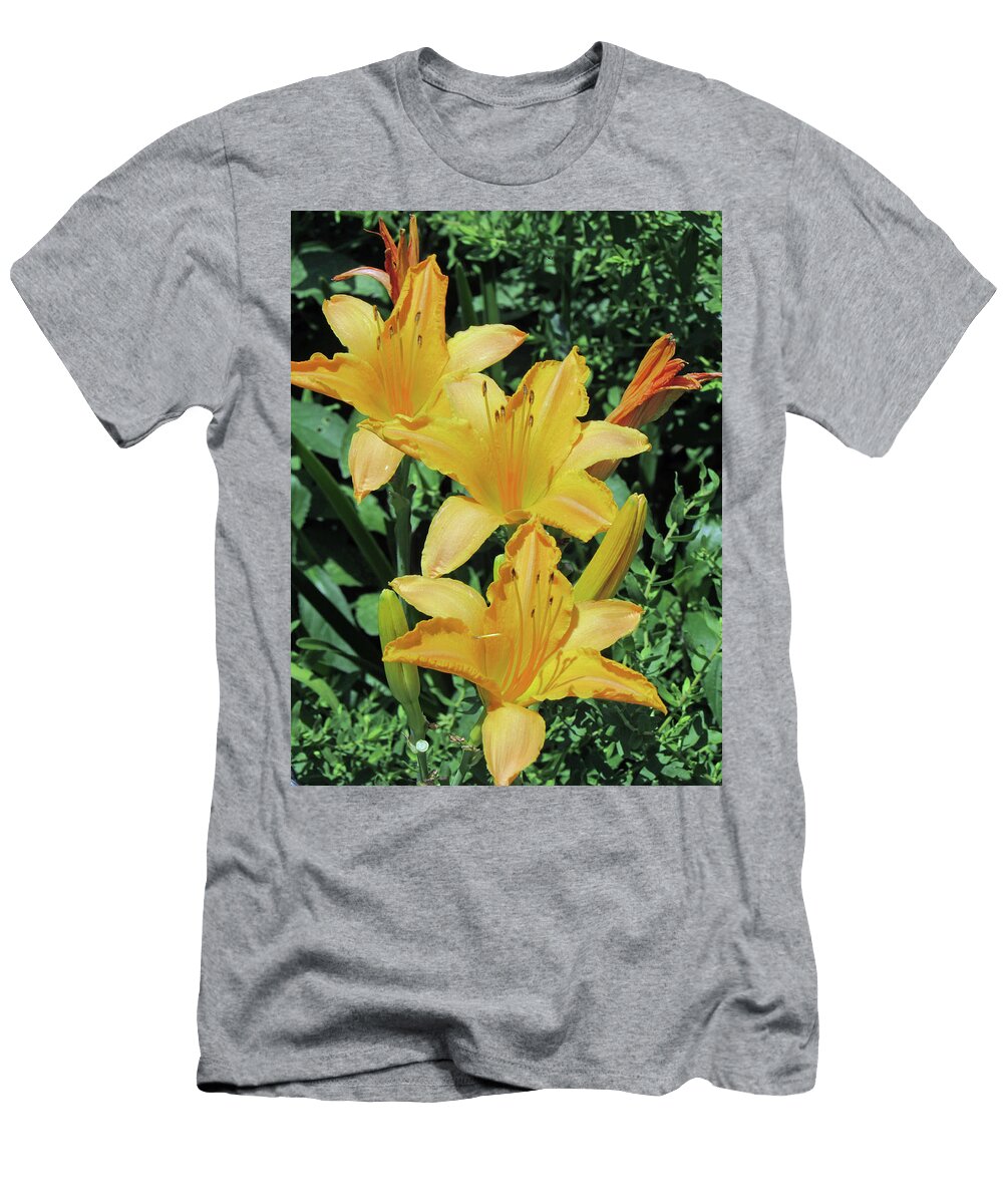Daylily Orange Smoothie 01 Pamela Critchlow T-Shirt
