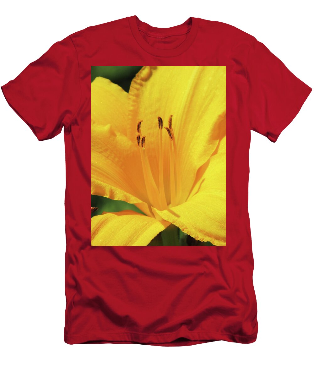 Daylily Orange Smoothie 05 Pamela Critchlow T-Shirt