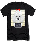 Dear Santa I Can Explain Poodle Christmas Maximus Designs T-Shirt