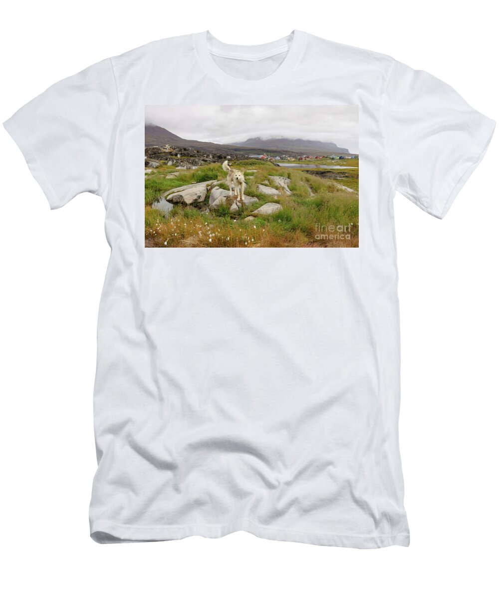 Disko Island Nature Eva Lechner T-Shirt
