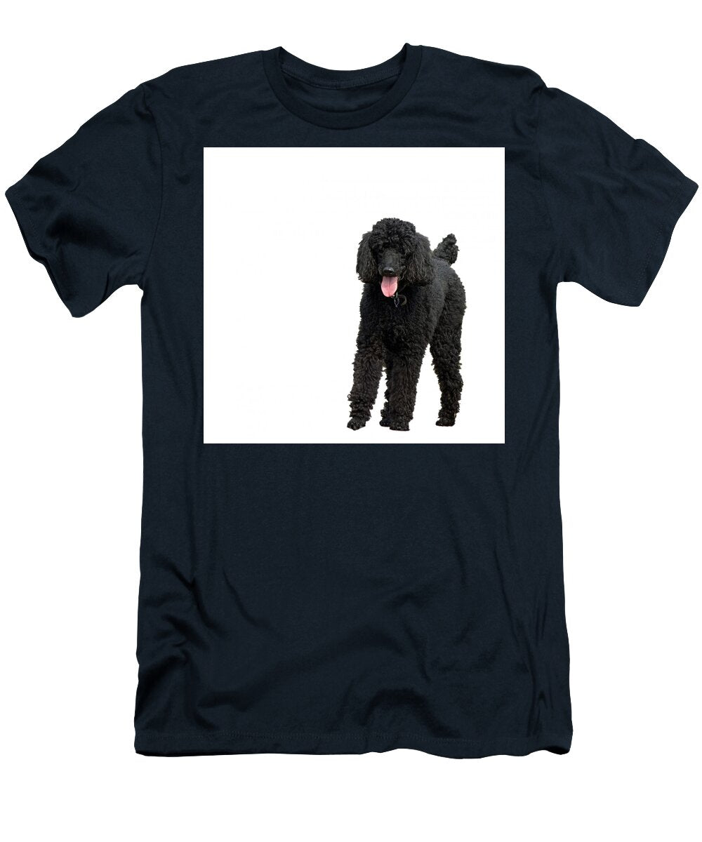 Dog Black Standard Poodle Les Classics T-Shirt