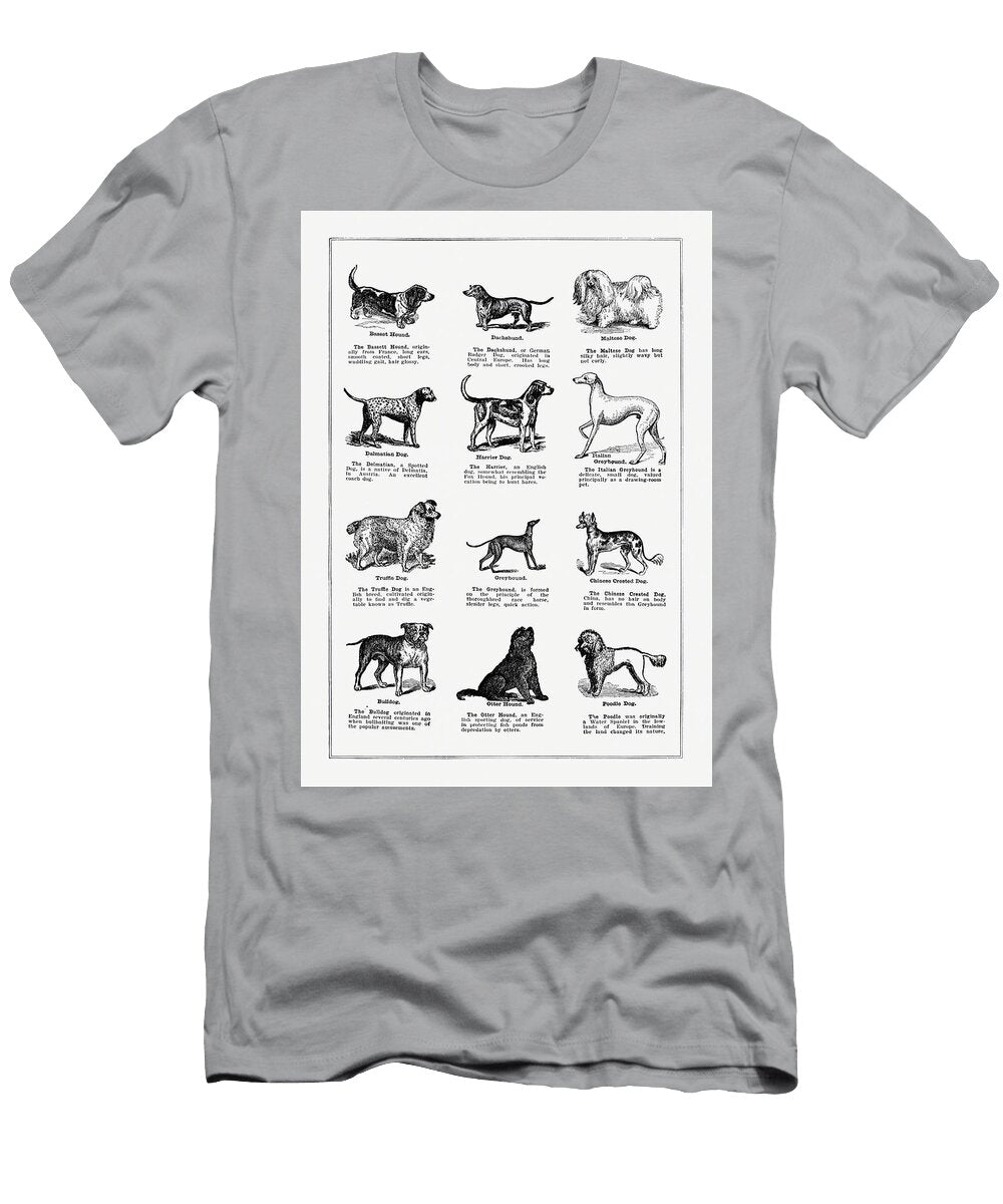 Dog Breeds Vintage Farm Illustration the Open Door to Independence Studio Grafiikka T-Shirt