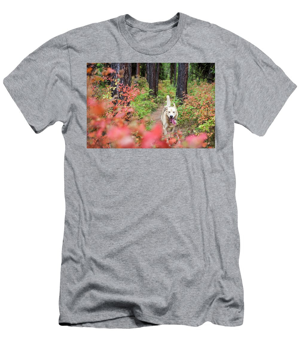 Dog Running Trail in Rattlesnake Robin Carleton T-Shirt