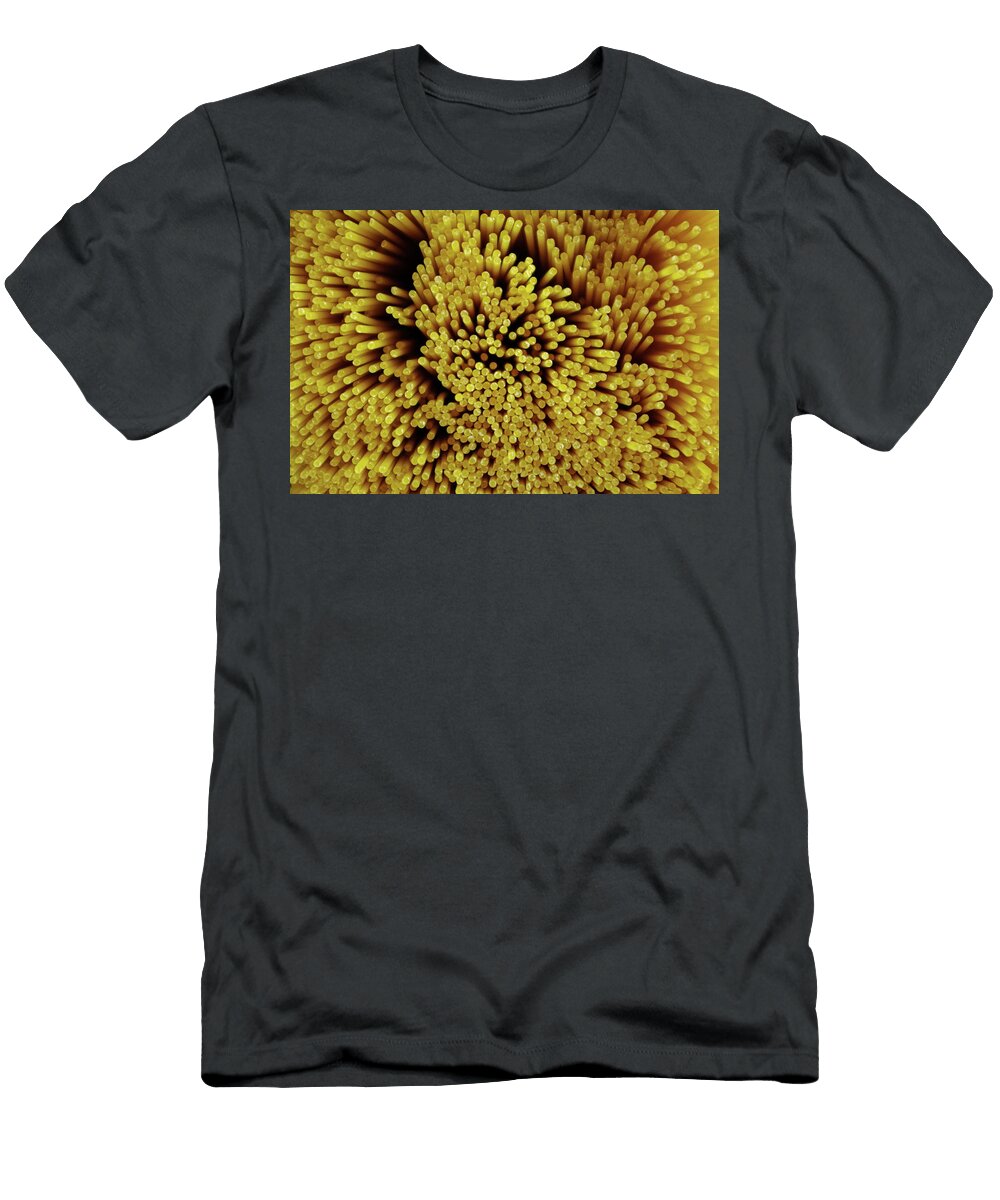 Dry Pasta Katryna Ruiz T-Shirt