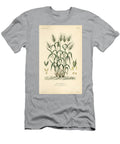 Durum Wheat Pasta Wheat or Maraconi Wheat Triticum Turgidum Ble De Miracle Louis Joseph Edouard Maubert T-Shirt