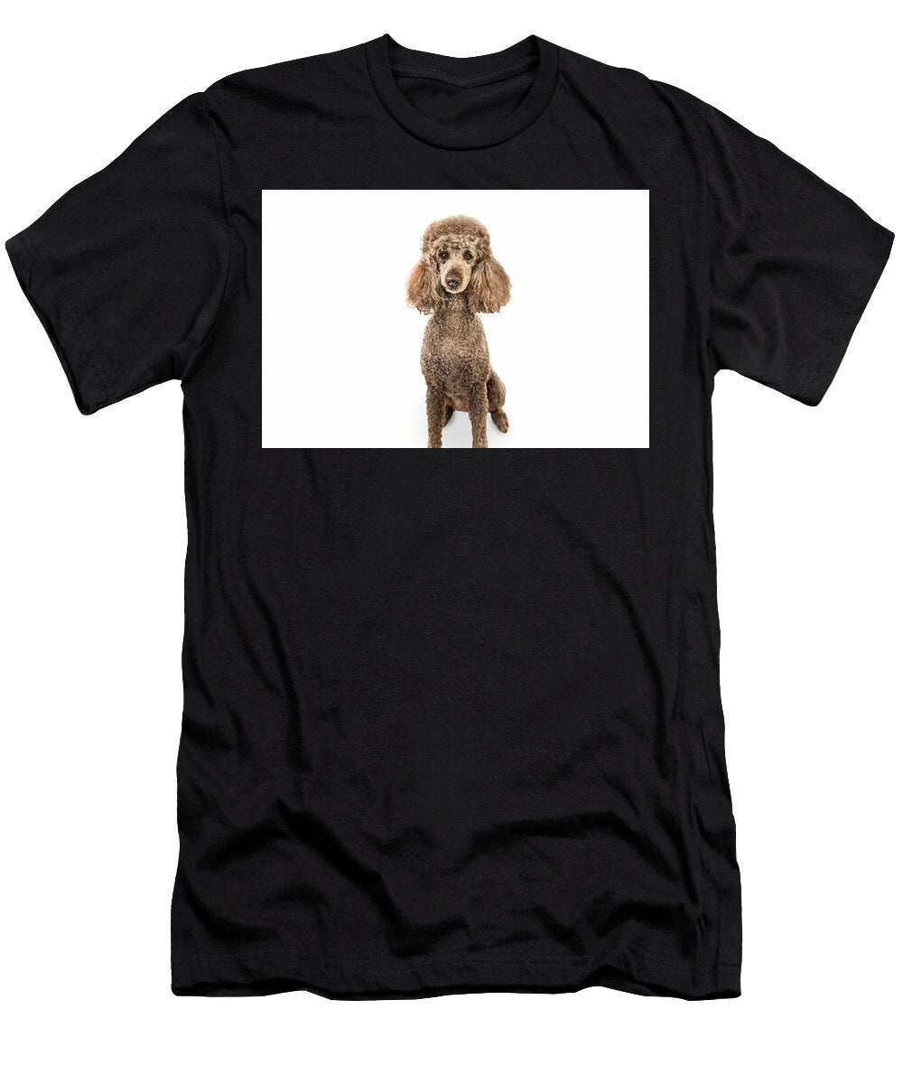 Eliza P Portrait Paul Sears Resilient Rover T-Shirt