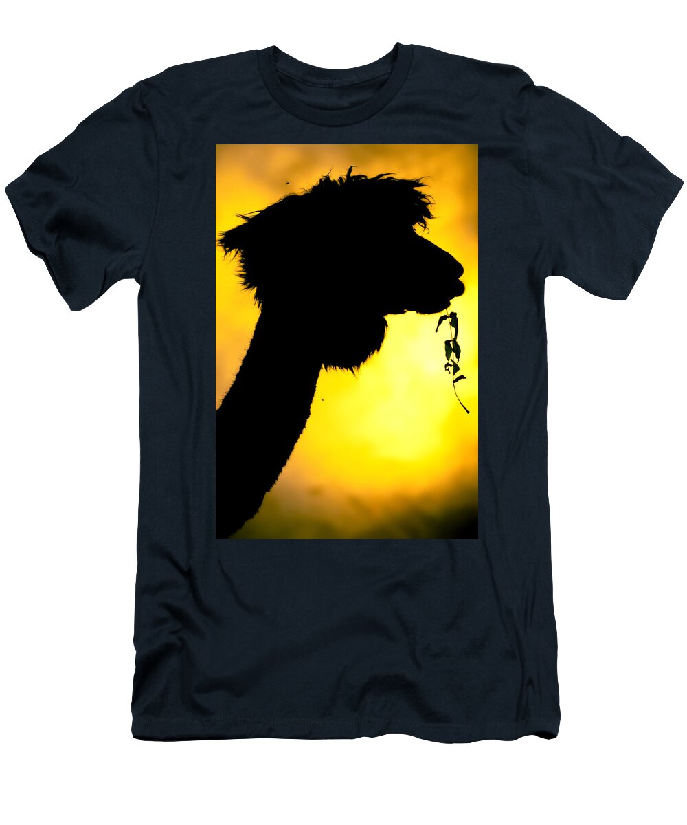 Endless Alpaca Tc Morgan T-Shirt