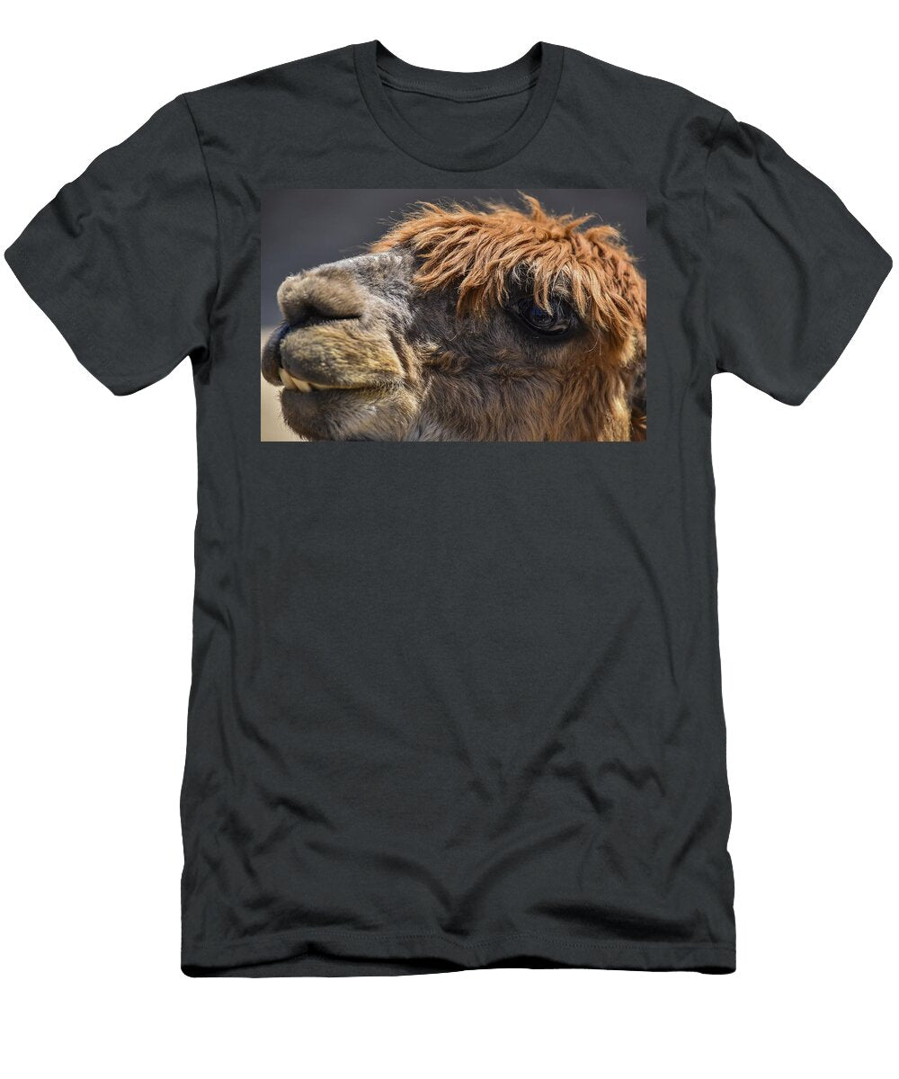Eyes of an Alpaca Les Classics T-Shirt