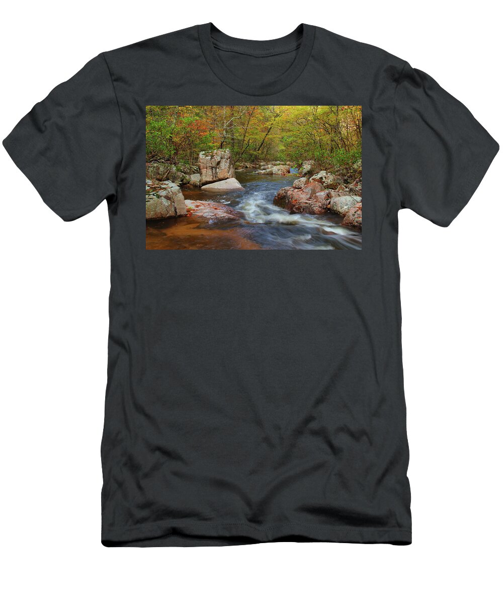 Fall Colors on Pickle Creek 1 Greg Matchick T-Shirt