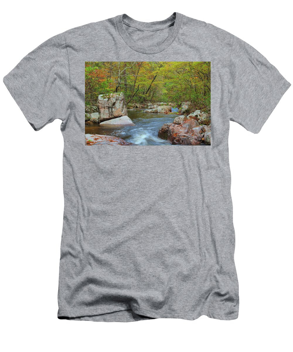 Fall Colors on Pickle Creek 2 Greg Matchick T-Shirt