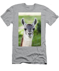Female Alpaca Dave Fleetham T-Shirt