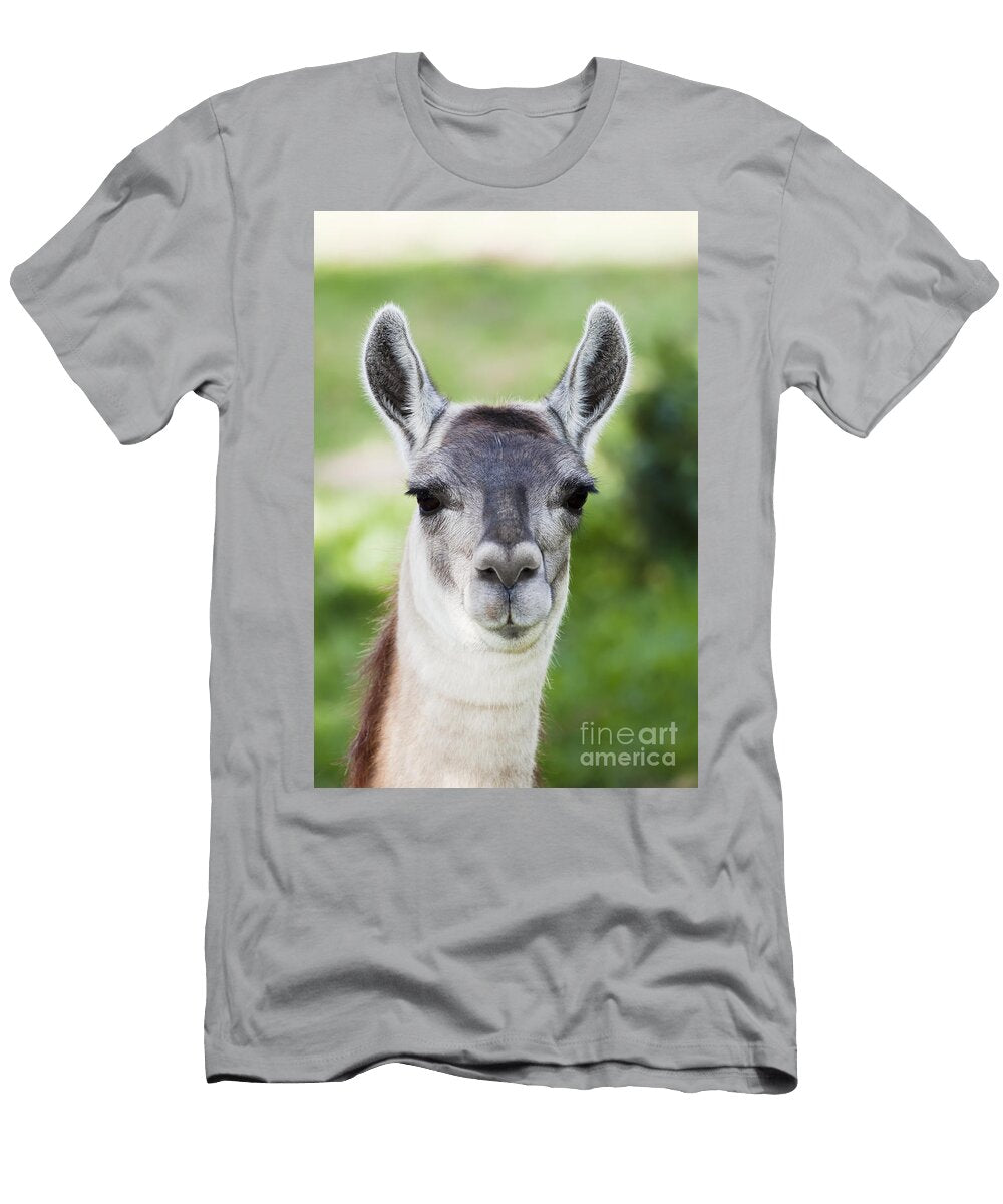 Female Alpaca Dave Fleetham T-Shirt