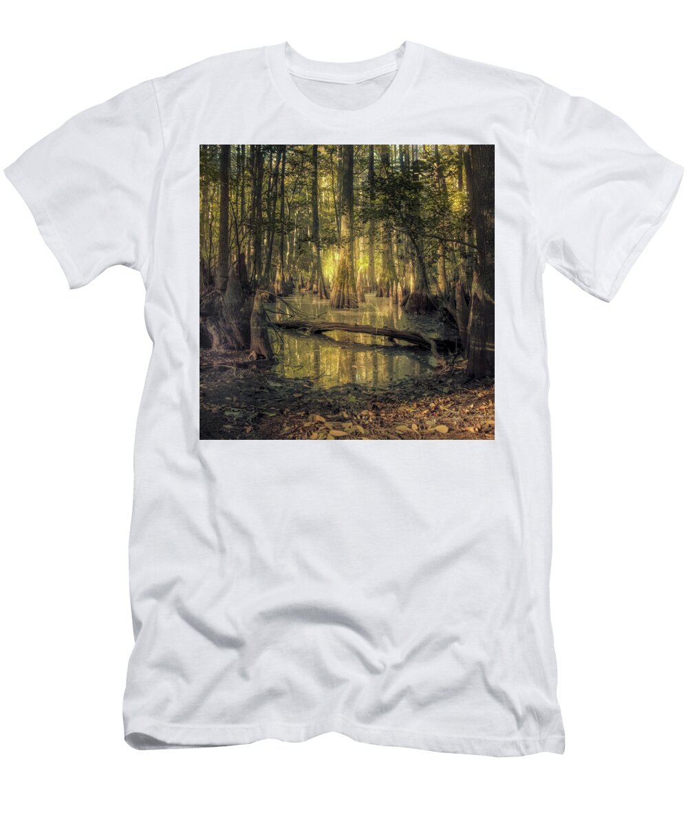 First Landing State Park Pond in Early Morning Norma Brandsberg T-Shirt