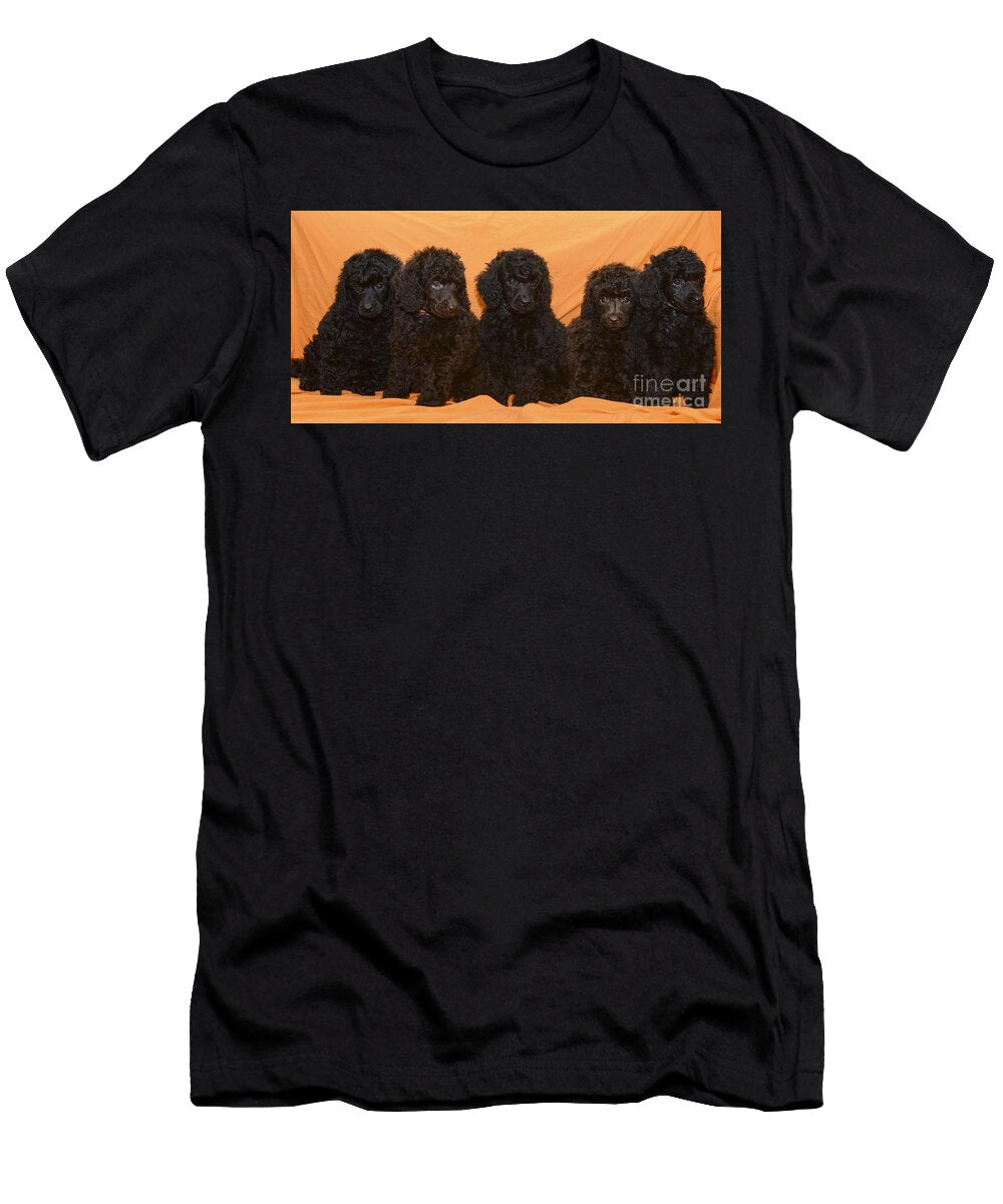 Five Poodle Puppies Amir Paz T-Shirt