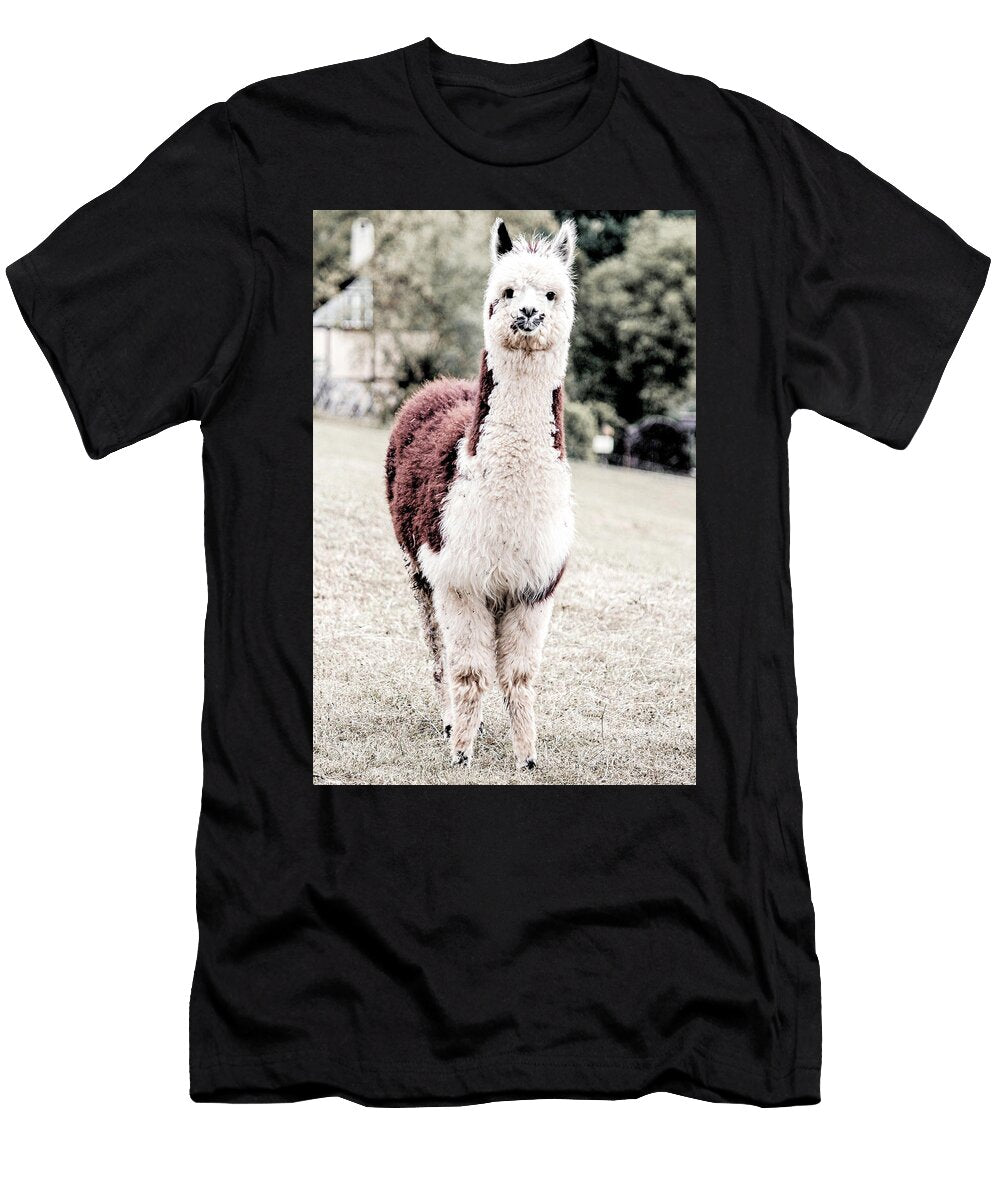 Fluffy Alpaca in a Field World Art Collective T-Shirt