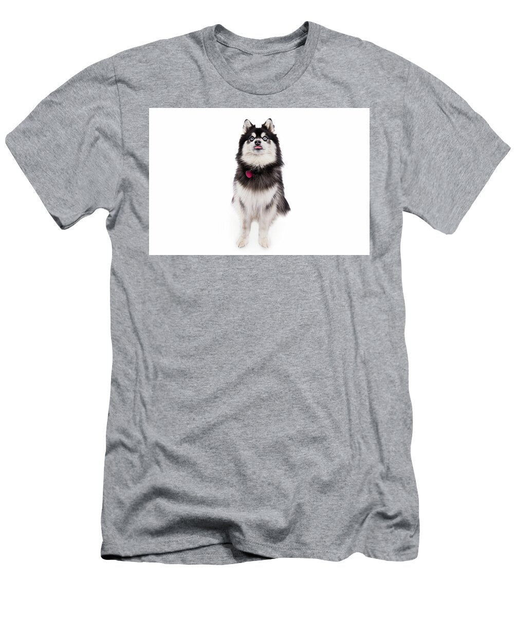 Fluffy Husky with Silly Expression Paul Sears Resilient Rover T-Shirt