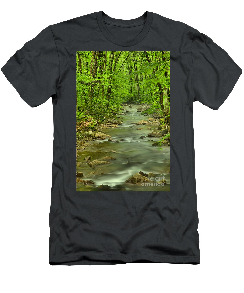Forbes State Forest Forest Canopy Adam Jewell T-Shirt