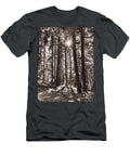 Forest Trees with Sunburst in Sepia Carol Groenen T-Shirt