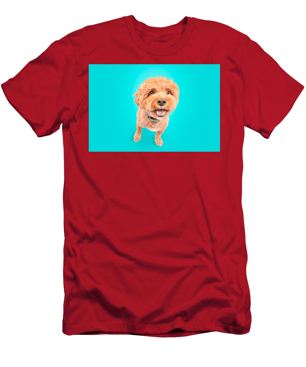 Gauss D Smile Paul Sears Resilient Rover T-Shirt