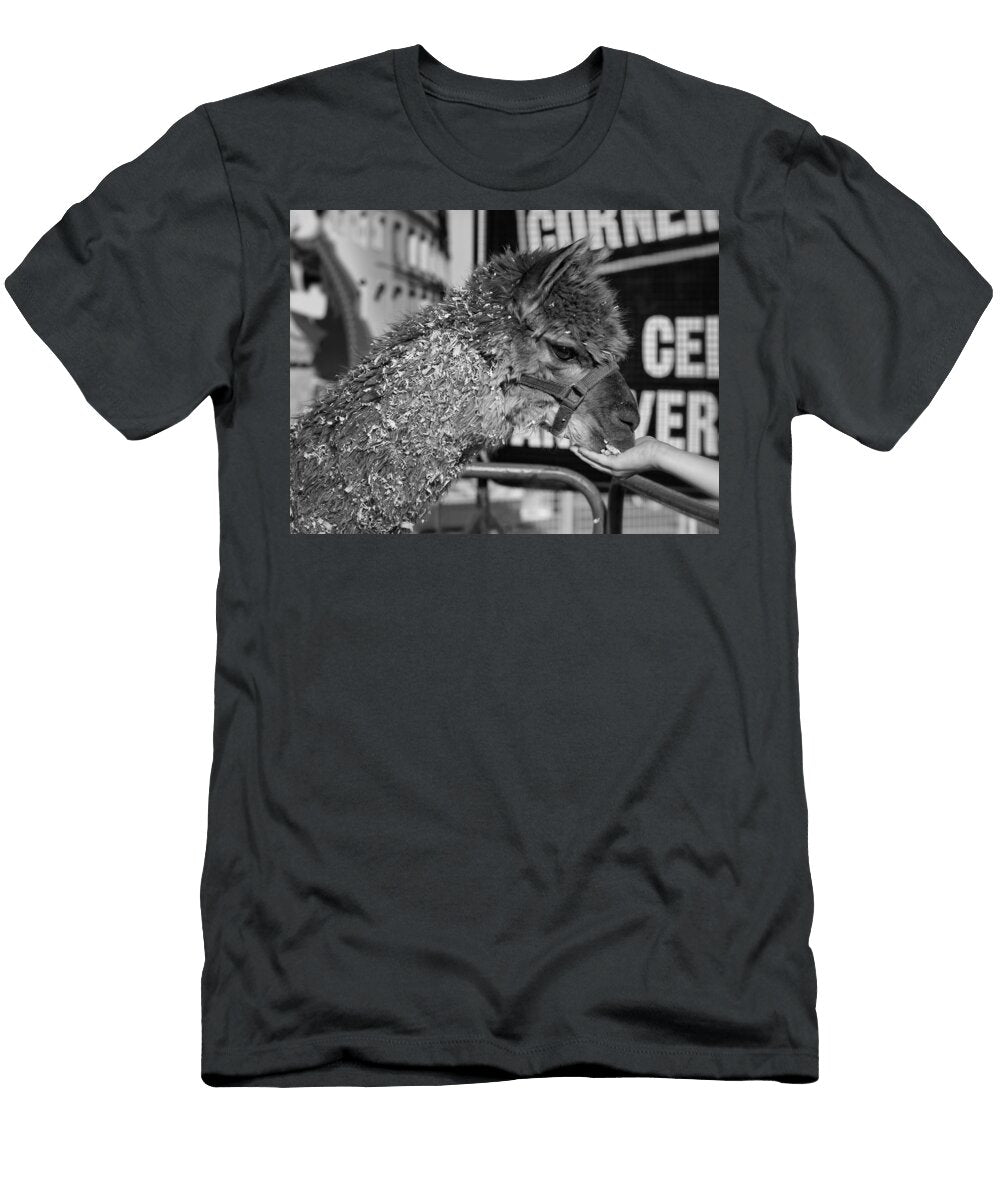 Gentleness Monochrome Steve Harrington T-Shirt