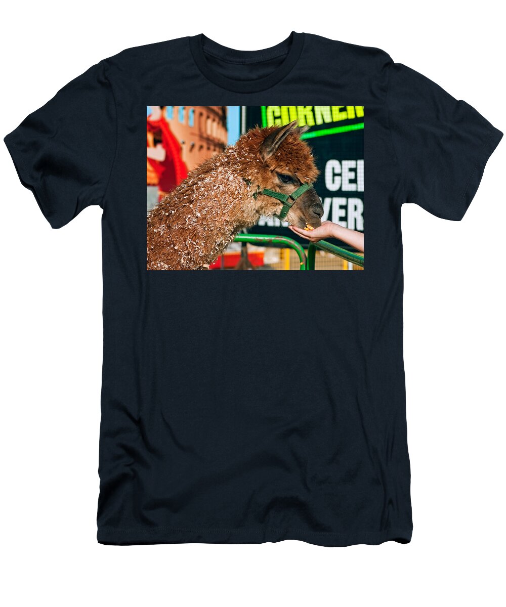 Gentleness Steve Harrington T-Shirt