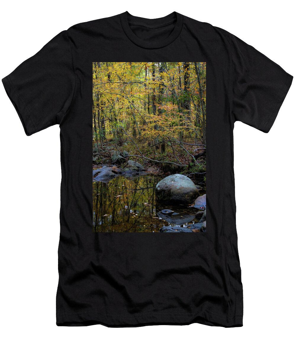 Golden Canopy on Pickle Creek 6281 H2 Steven Ward T-Shirt
