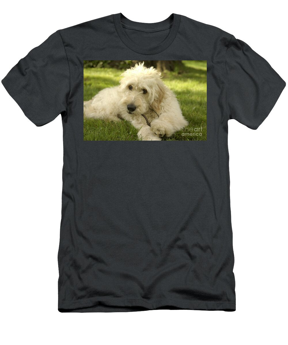 Goldendoodle Puppy and Stick Anna Lisa Yoder T-Shirt