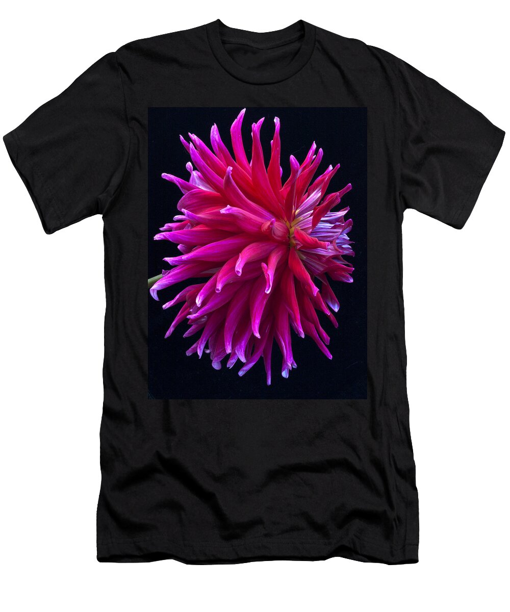 Grande Finale Dahlia Denise Saldana T-Shirt