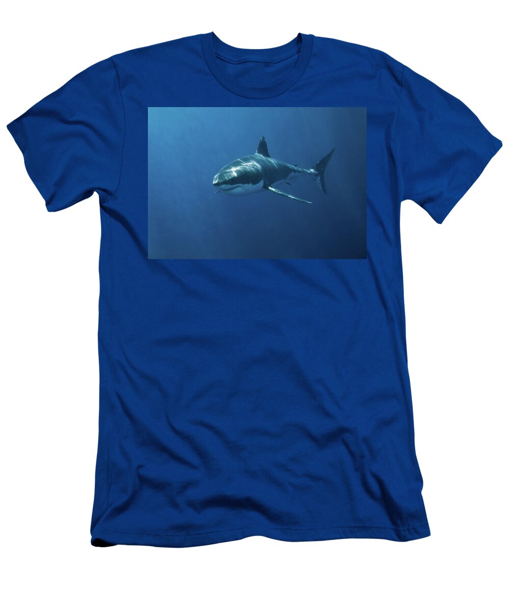Great White Shark John White Photos T-Shirt