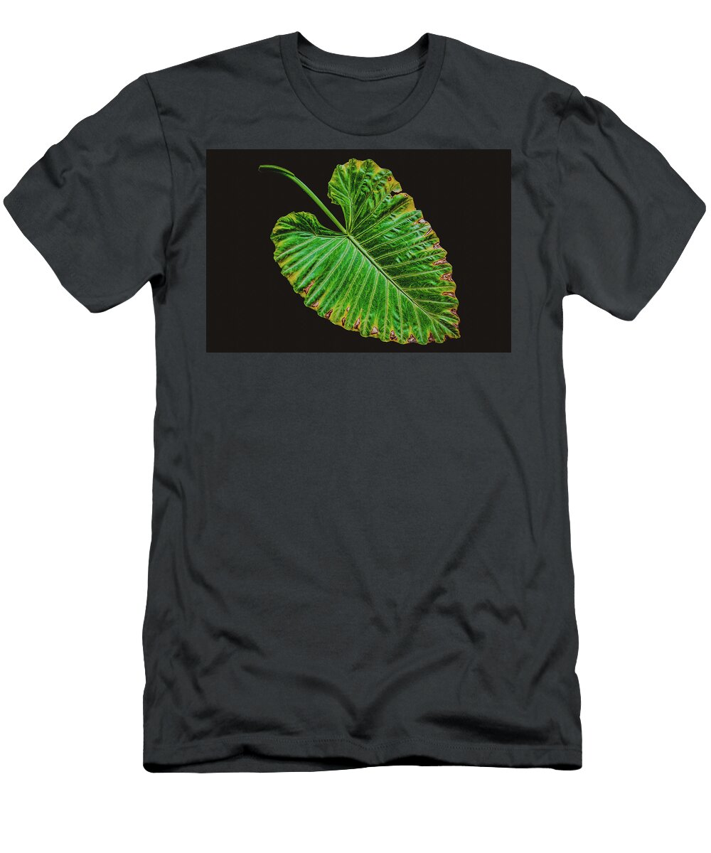 Green Leaf Angela Carrion Photography T-Shirt