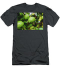 Green Lemons Hanging From the Lemon Tree on a Rainy Day Joaquin Corbalan T-Shirt
