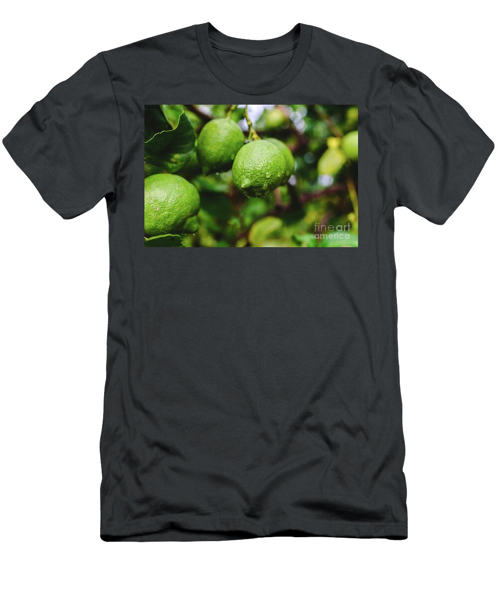 Green Lemons Hanging From the Lemon Tree on a Rainy Day Joaquin Corbalan T-Shirt