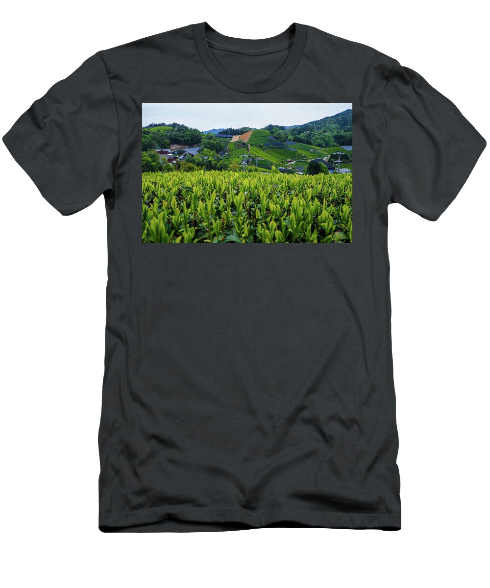 Green Tea Wonderland Alex Goldblum T-Shirt
