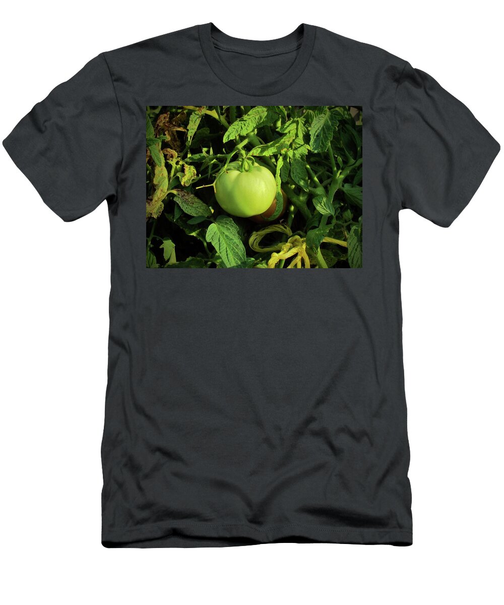 Green Tomato Cynthia Guinn T-Shirt