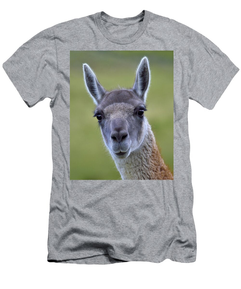 Guanaco Tony Beck T-Shirt