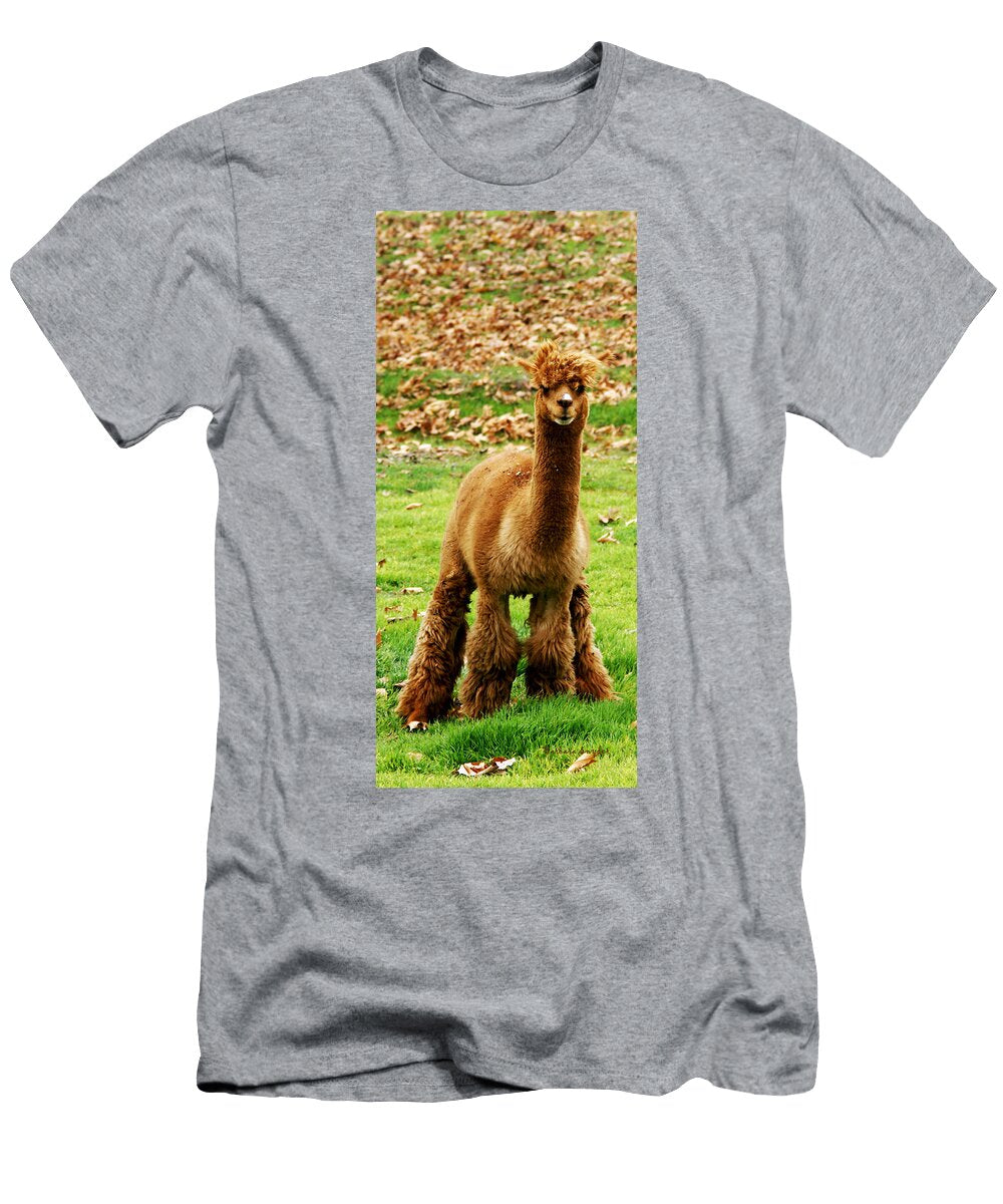 Hairy Brown Gumby Aka Brown Alpaca Barbara Snyder T-Shirt