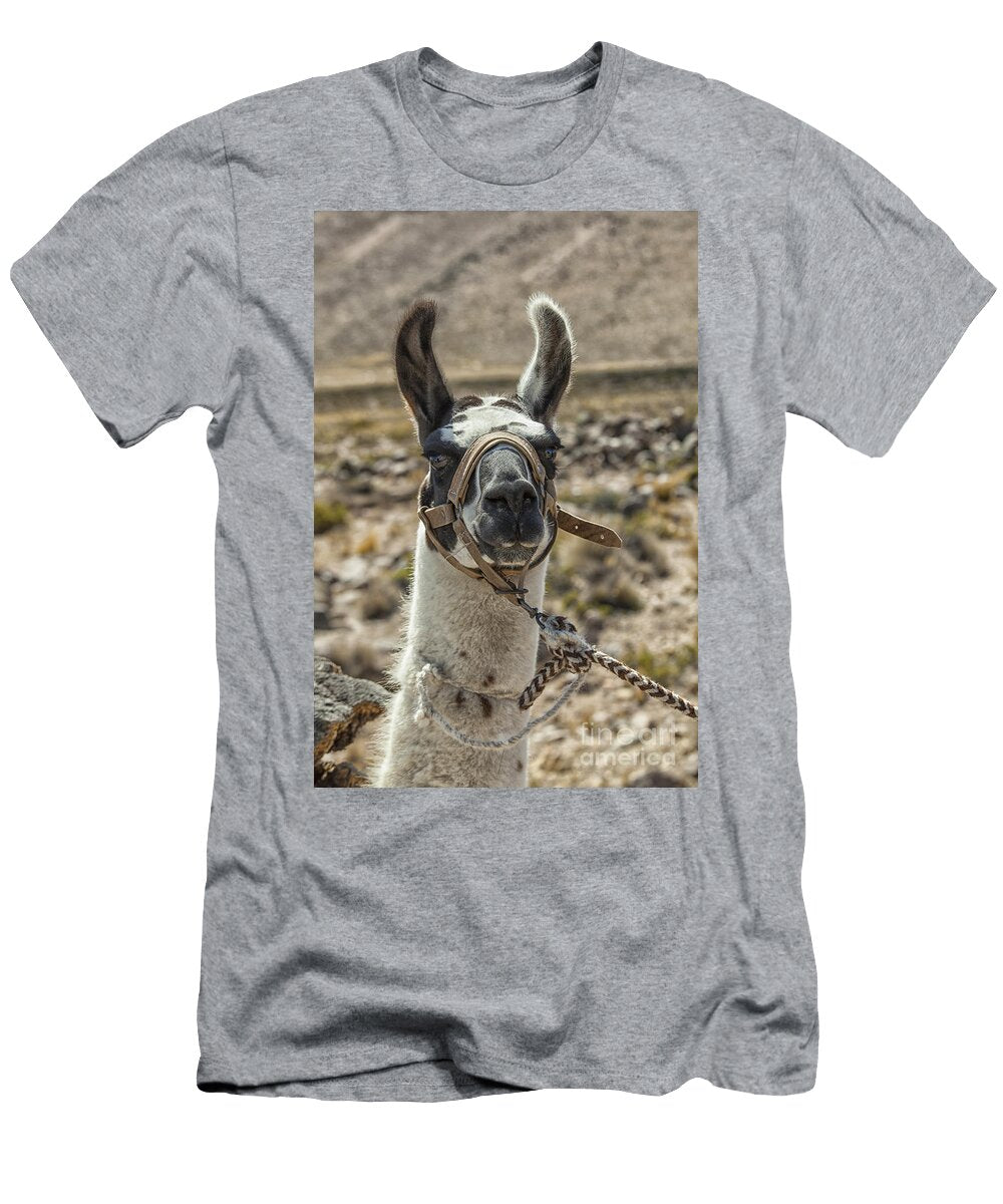 Harnessed Llama Patricia Hofmeester T-Shirt