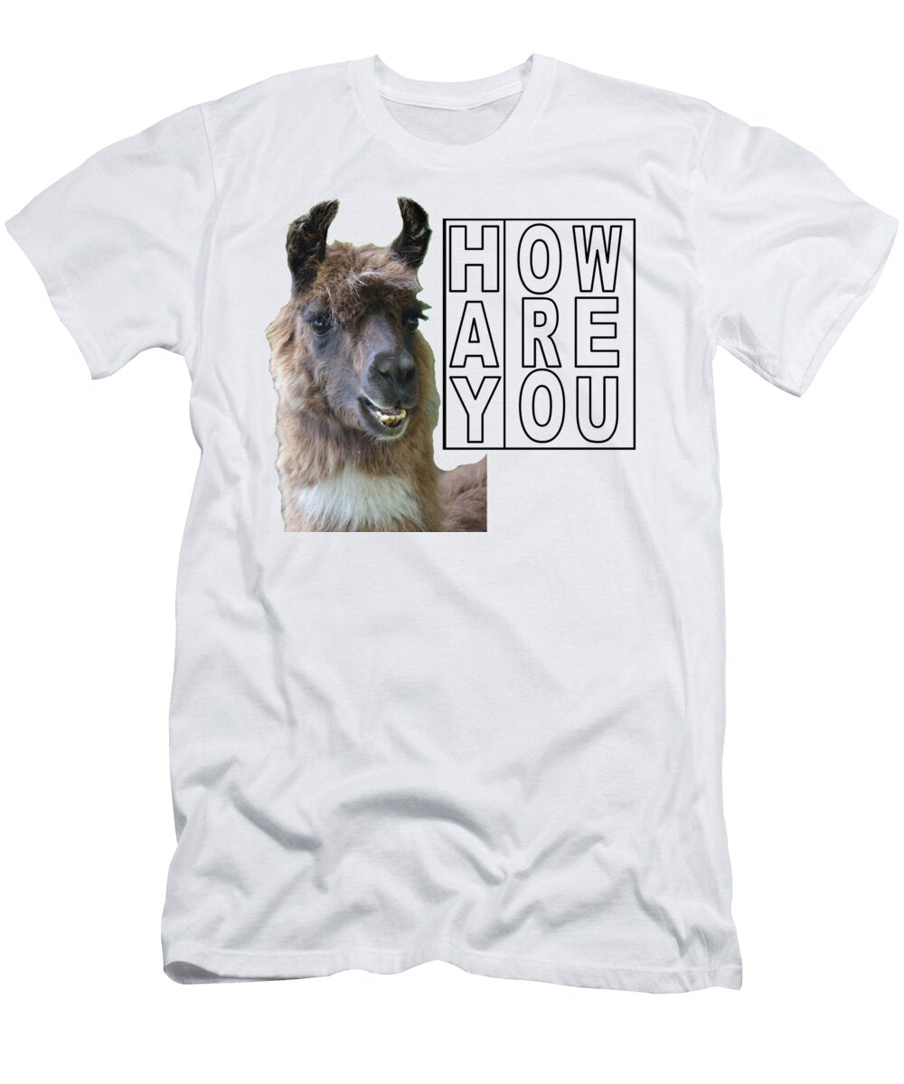 Hay How Are You Llama Ali Baucom T-Shirt