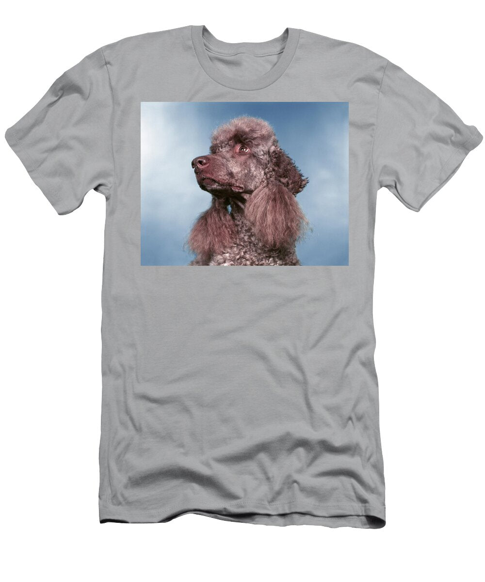 Head Shot of French Poodle Looking Vintage Images T-Shirt