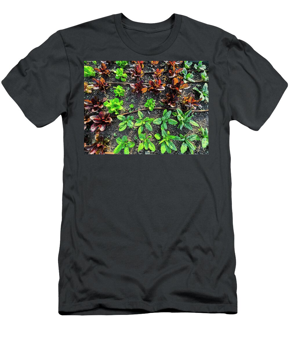 Healthy Blended of Spinach Red Leaf Romaine Butterhead Lettuce Trong Nguyen T-Shirt